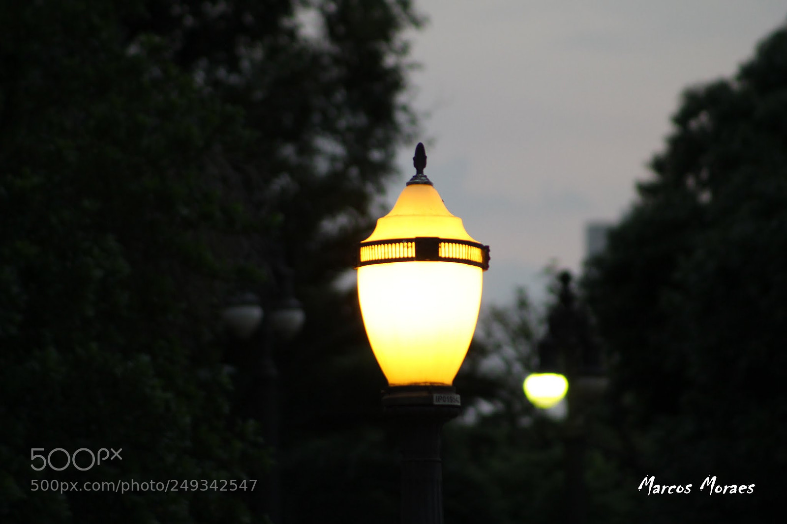 Canon EF 75-300mm f/4-5.6 sample photo. Untitled photography