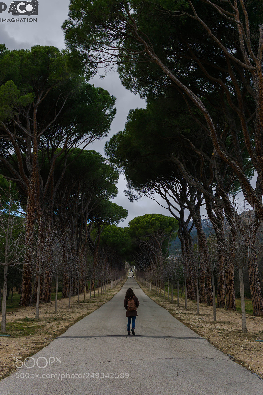 Sony a6000 sample photo. Promenade photography