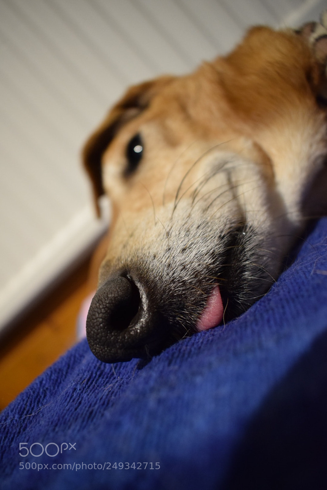 Nikon D5300 sample photo. This is a picture photography