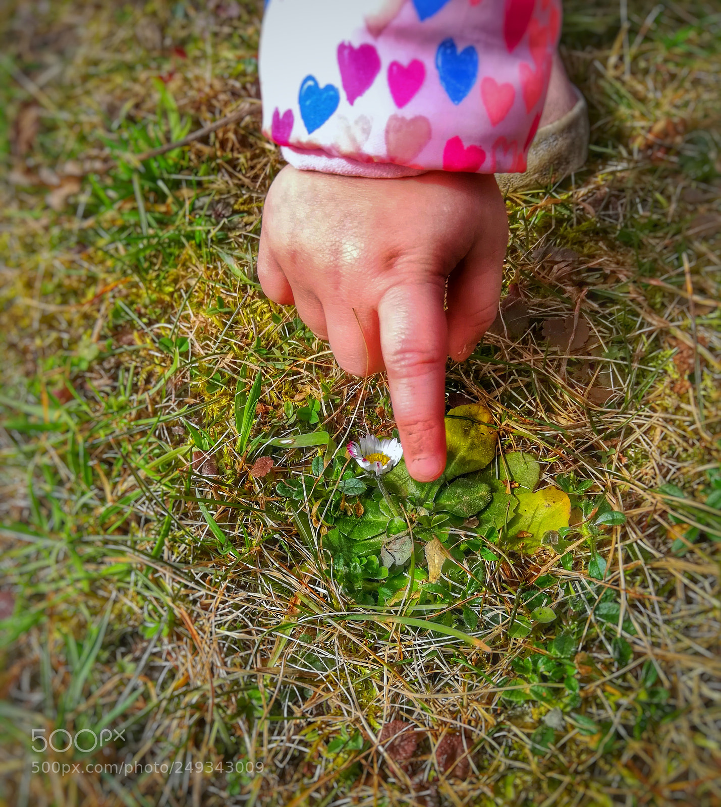 HUAWEI honor 6x sample photo. Untitled photography