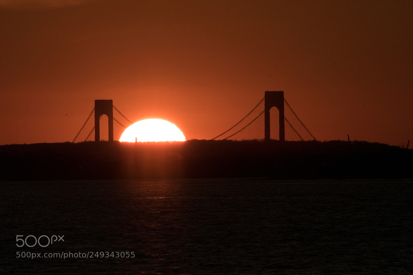 Nikon D500 sample photo. Verrazano-narrows bridge photography