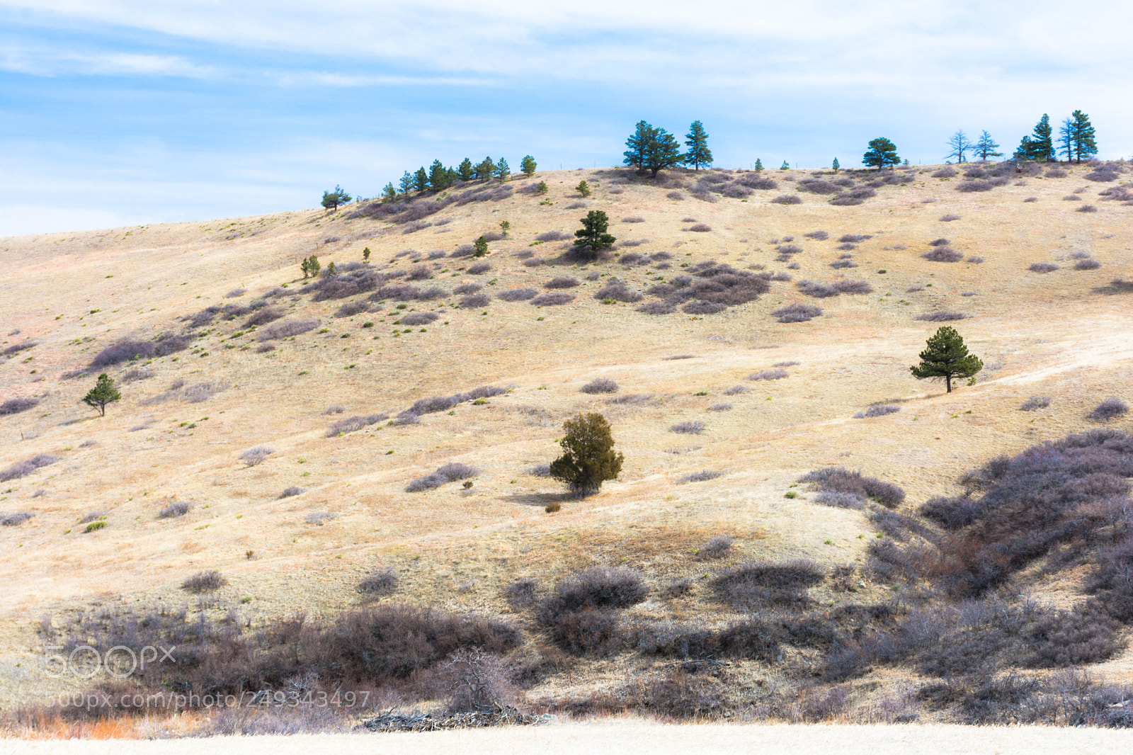Nikon D7100 sample photo. Foothills of the front photography