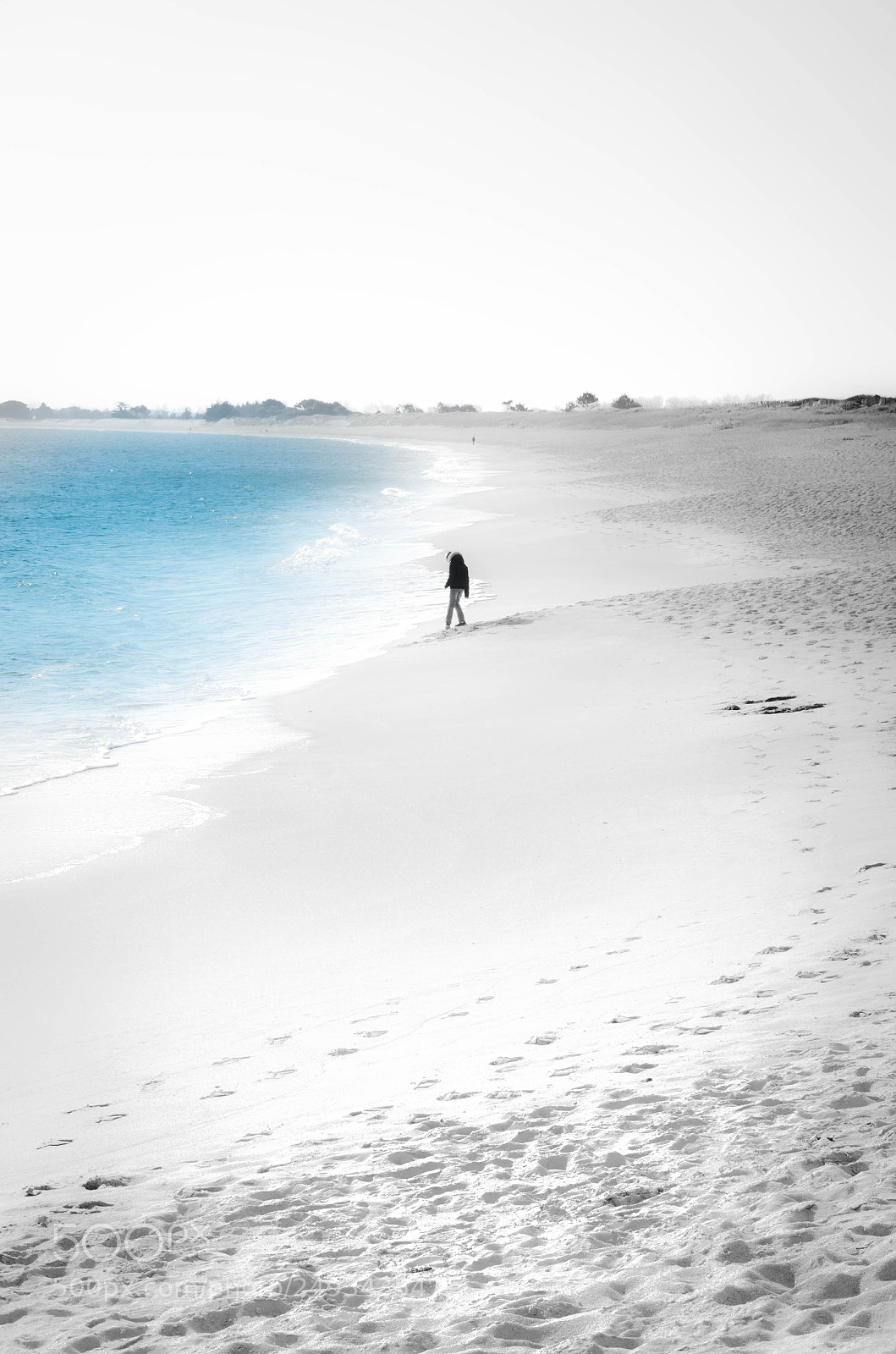 Nikon D7000 sample photo. Take a walk on photography