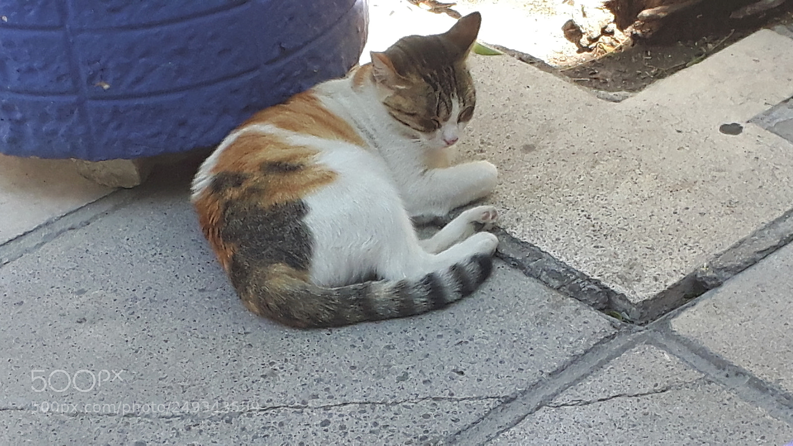 Samsung Galaxy S5 Neo sample photo. 20170902_135429.jpg photography