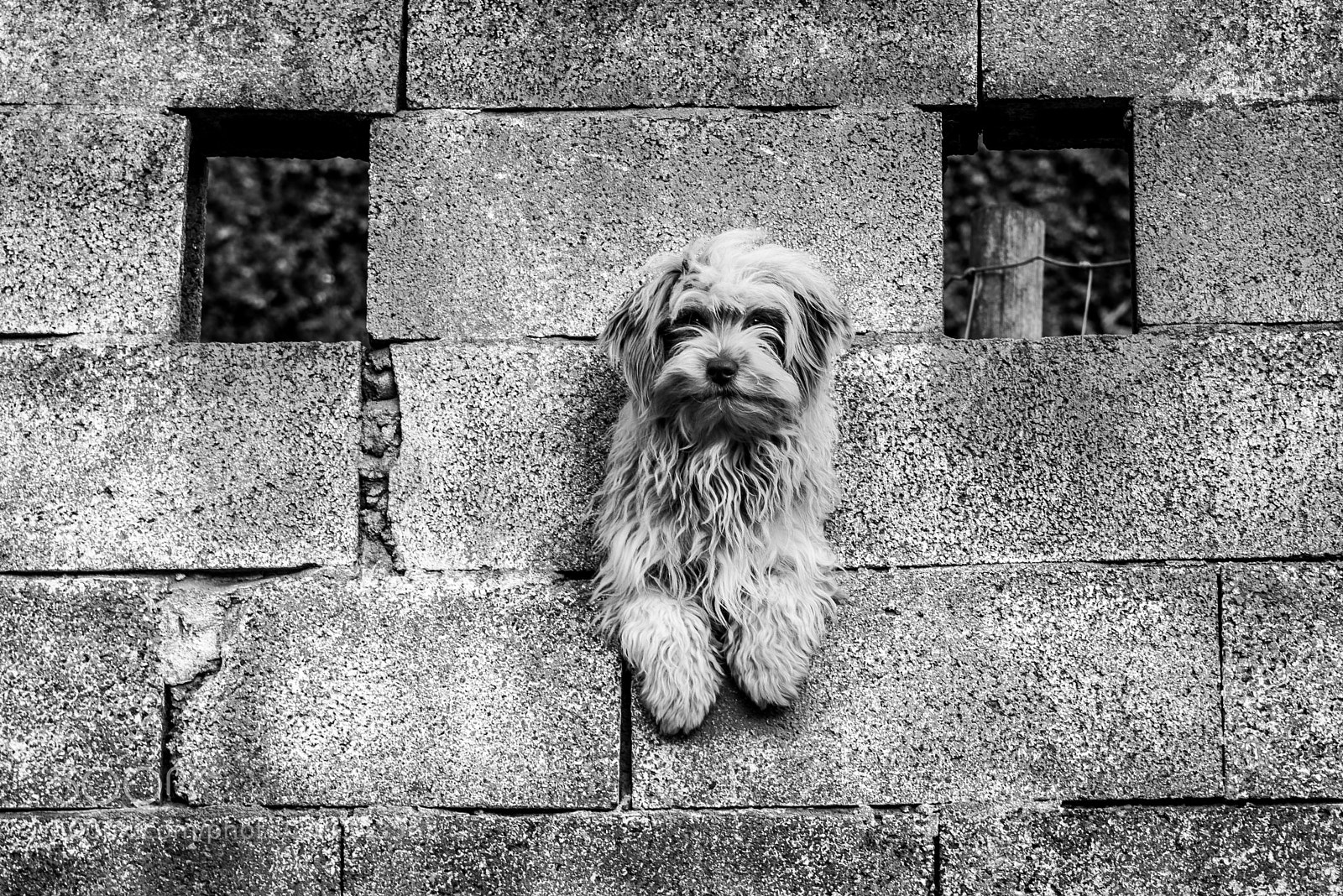 Nikon D610 sample photo. Auf... auf... photography