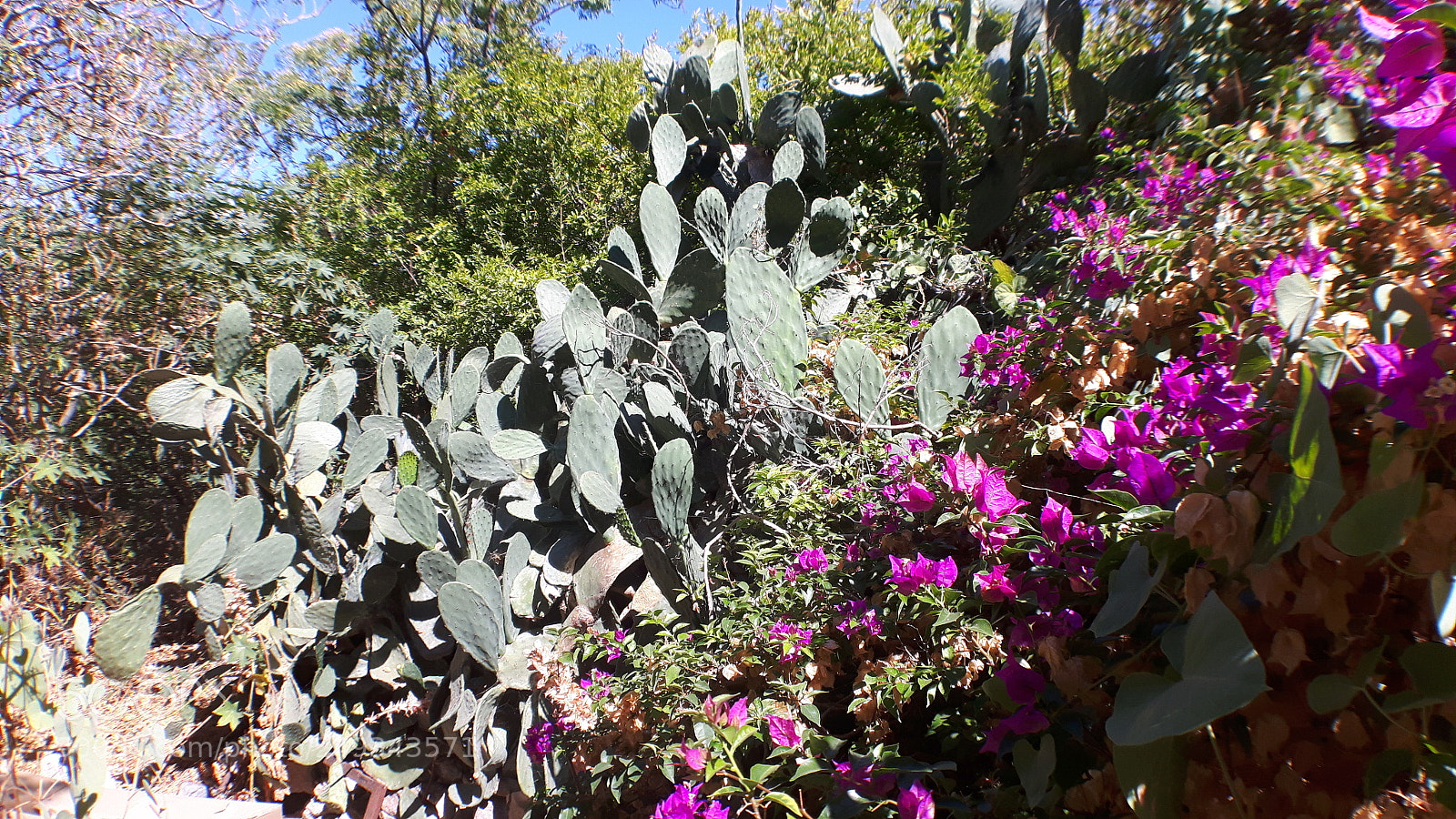 Samsung Galaxy S5 Neo sample photo. 20170902_151359.jpg photography