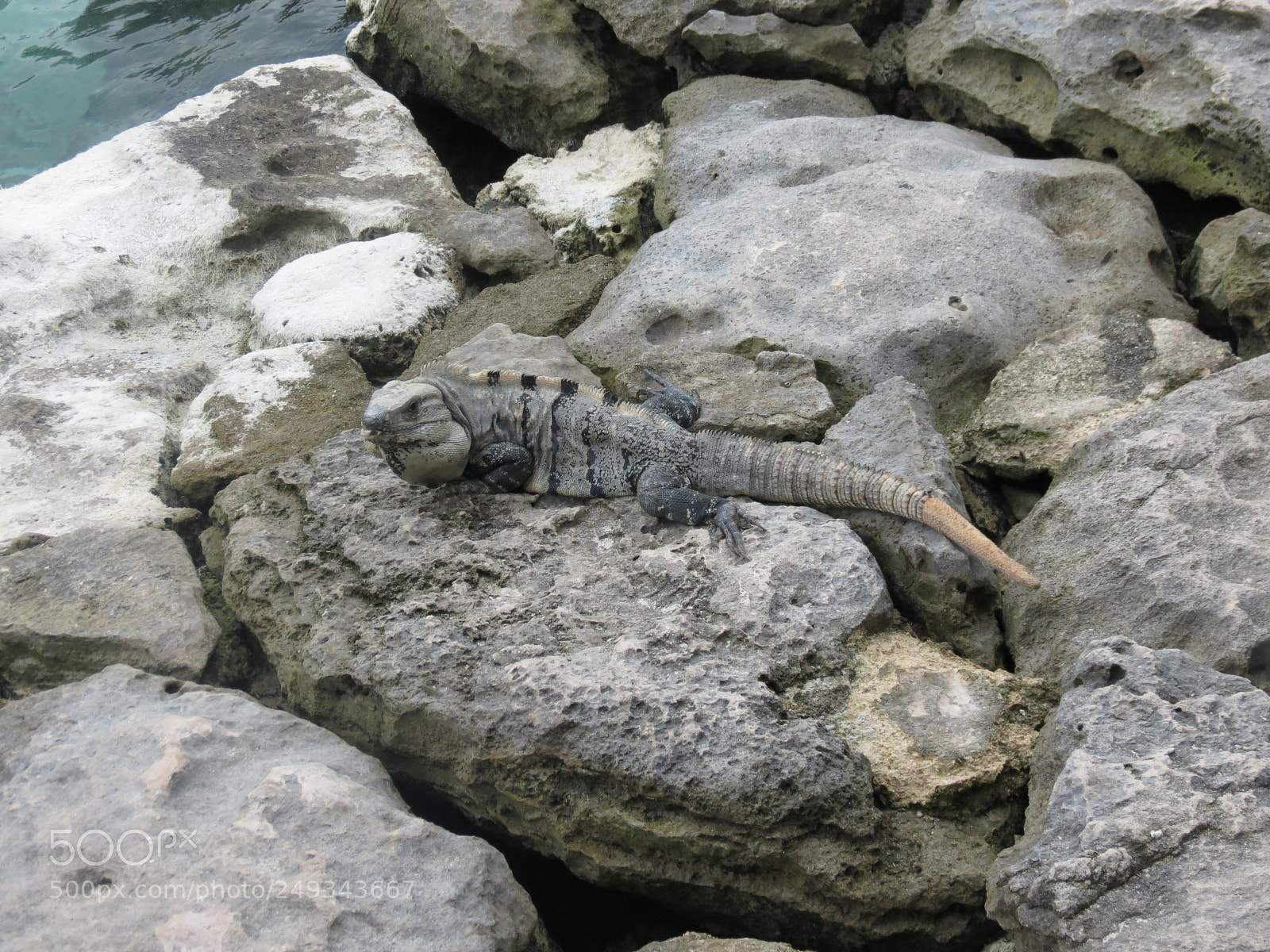 Canon PowerShot SX40 HS sample photo. Img photography