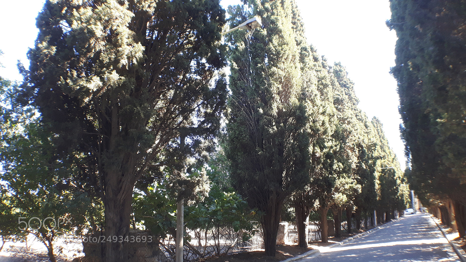 Samsung Galaxy S5 Neo sample photo. 20170902_154356.jpg photography