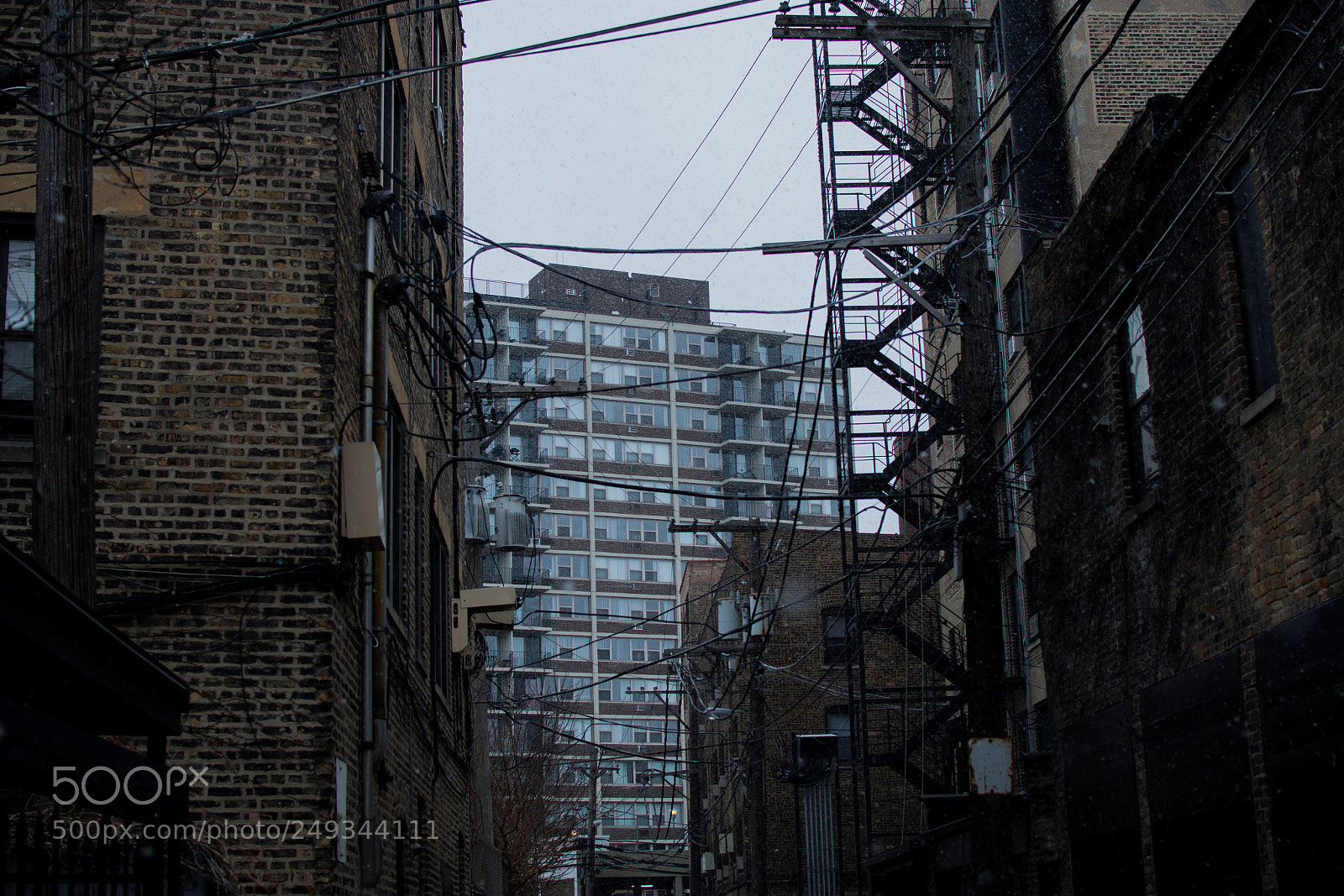 Nikon D7200 sample photo. Untitled photography