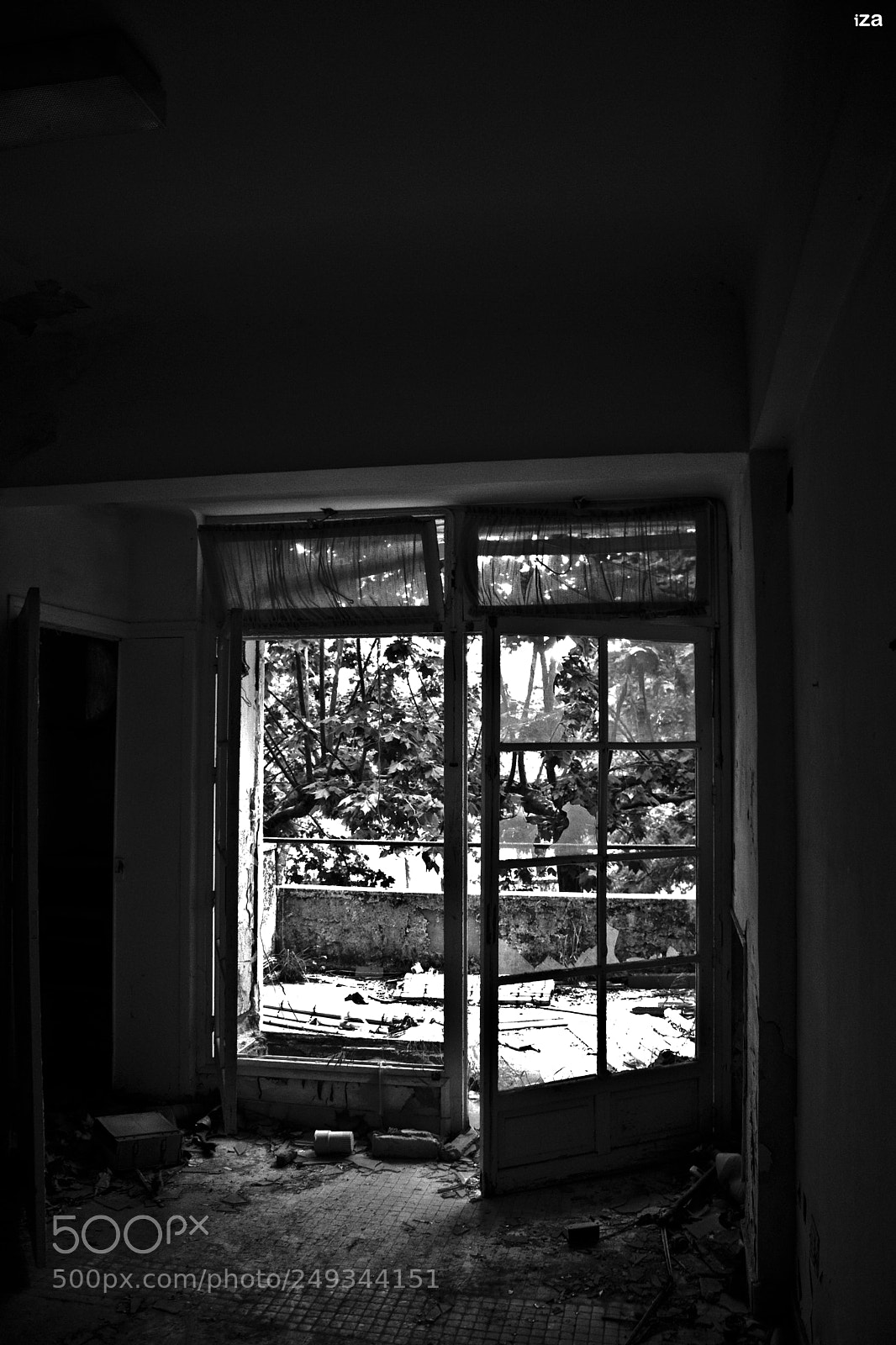 Canon EOS 450D (EOS Rebel XSi / EOS Kiss X2) sample photo. The zone photography