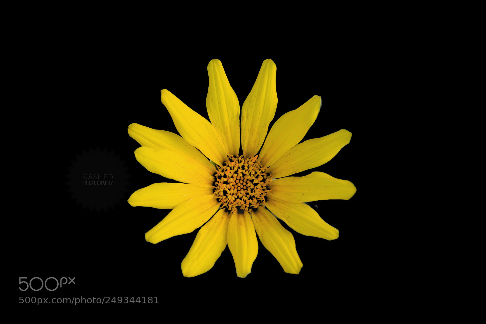 Canon EOS 7D Mark II sample photo. Untitled photography