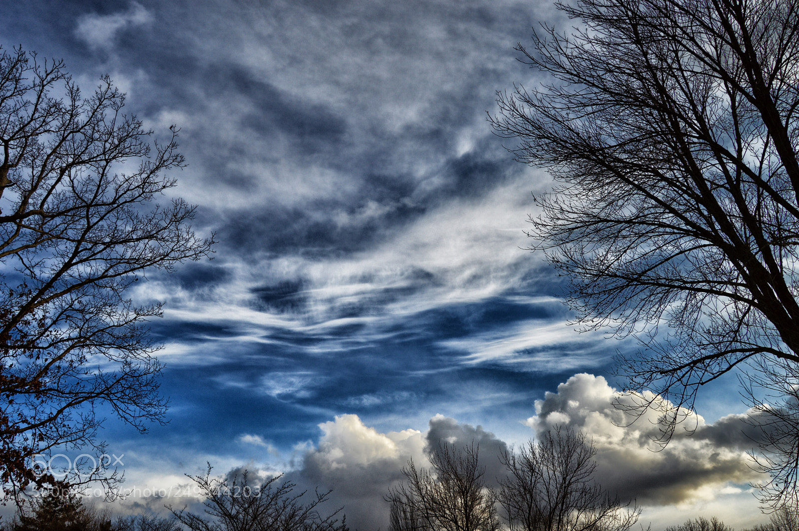 Nikon D3200 sample photo. Cloud trees photography