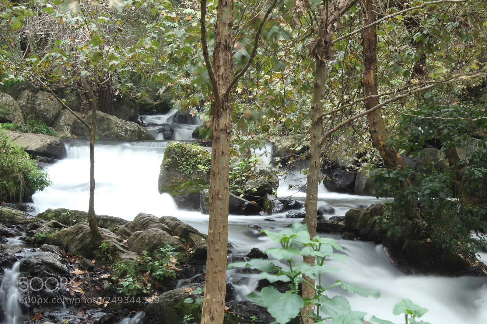 Canon EOS 1200D (EOS Rebel T5 / EOS Kiss X70 / EOS Hi) sample photo. Cascada de algod n photography