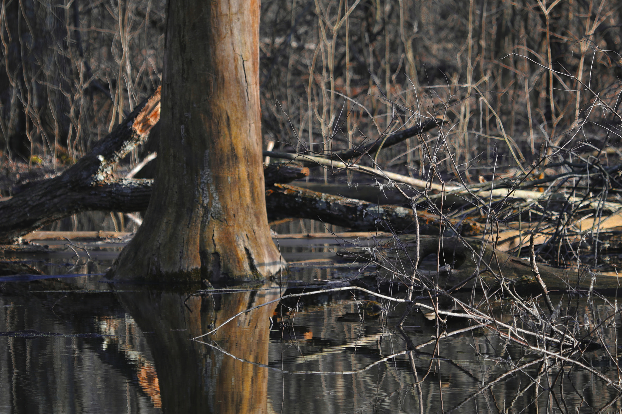 Canon EF 70-300 F4-5.6 IS II USM sample photo. Tranquility photography