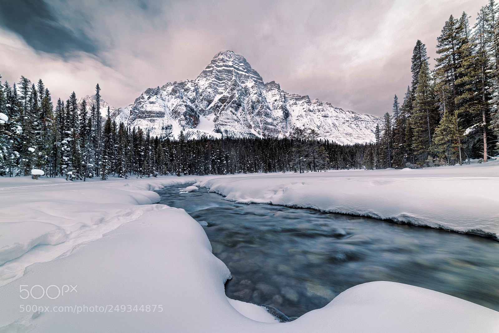 Nikon D810 sample photo. Morning , canada photography