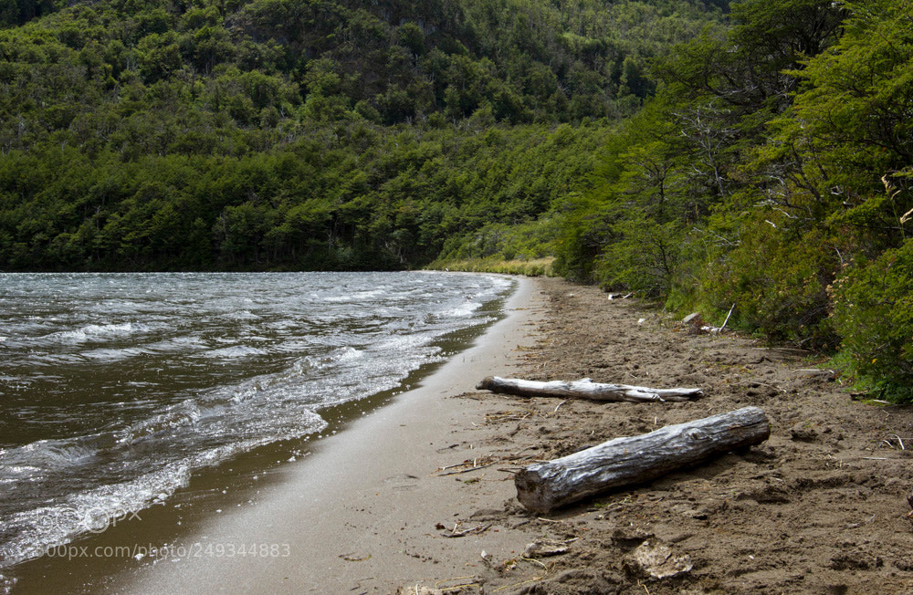 Canon EOS 60D sample photo. Img photography