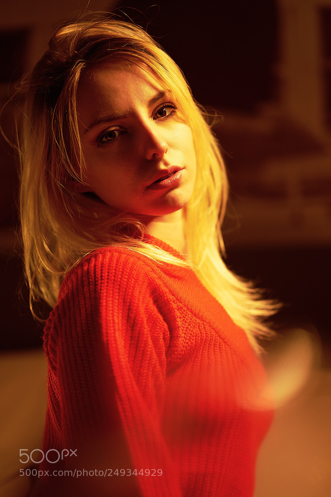 Sony a7 II sample photo. Red photography