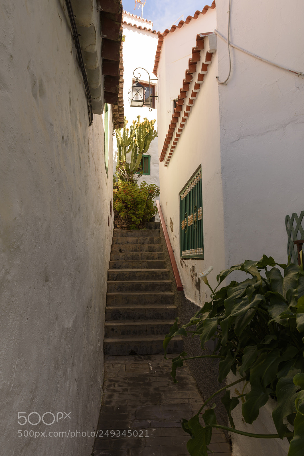 Nikon D7200 sample photo. Alleys photography