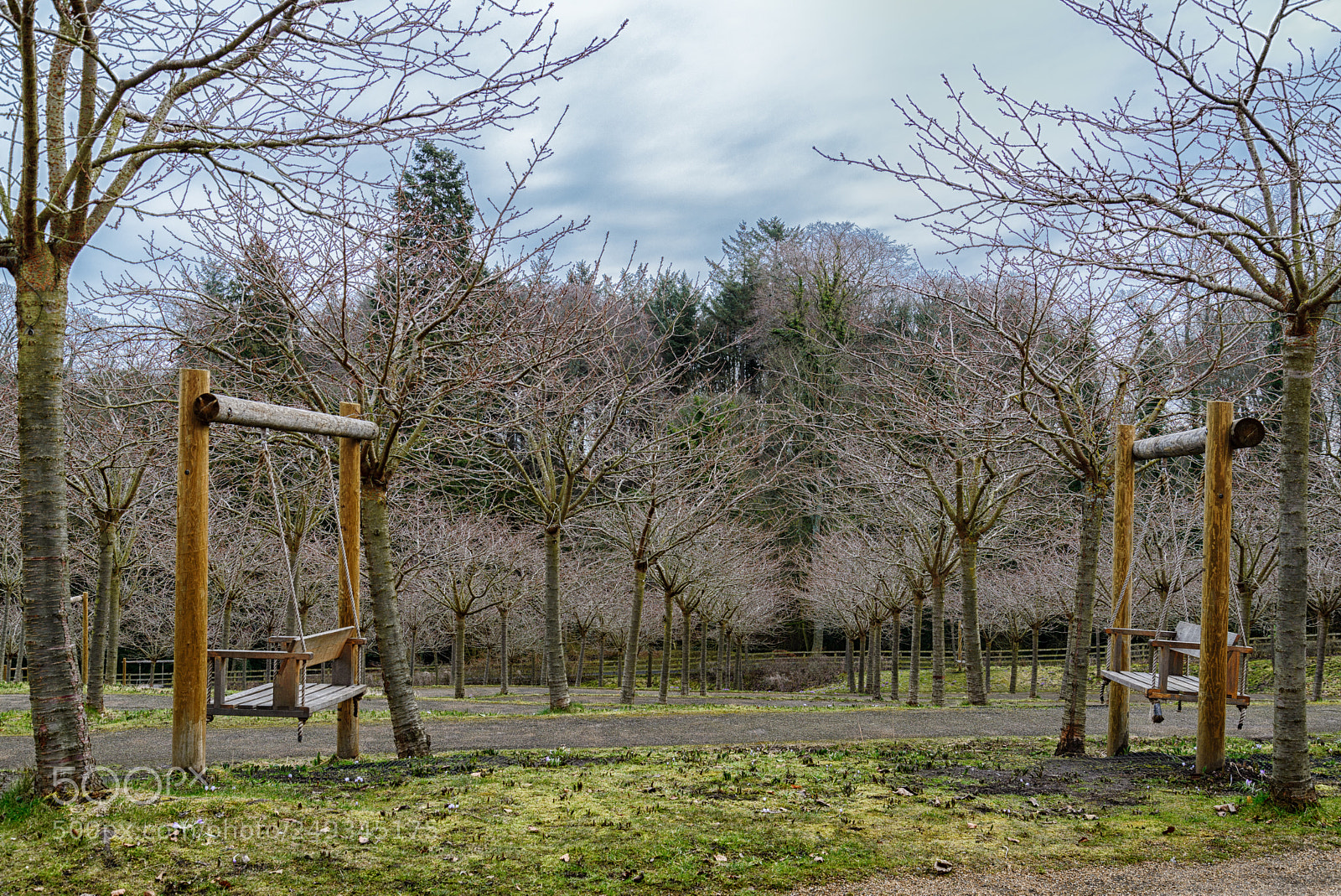Nikon D610 sample photo. Symmetry photography