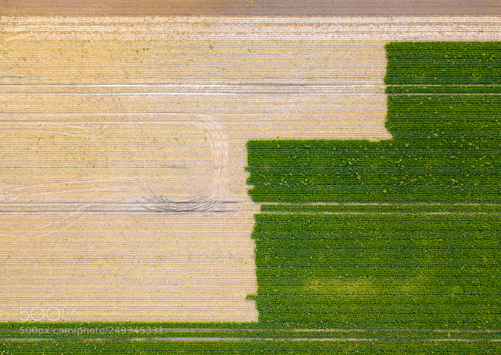 DJI FC220 sample photo. Steps photography