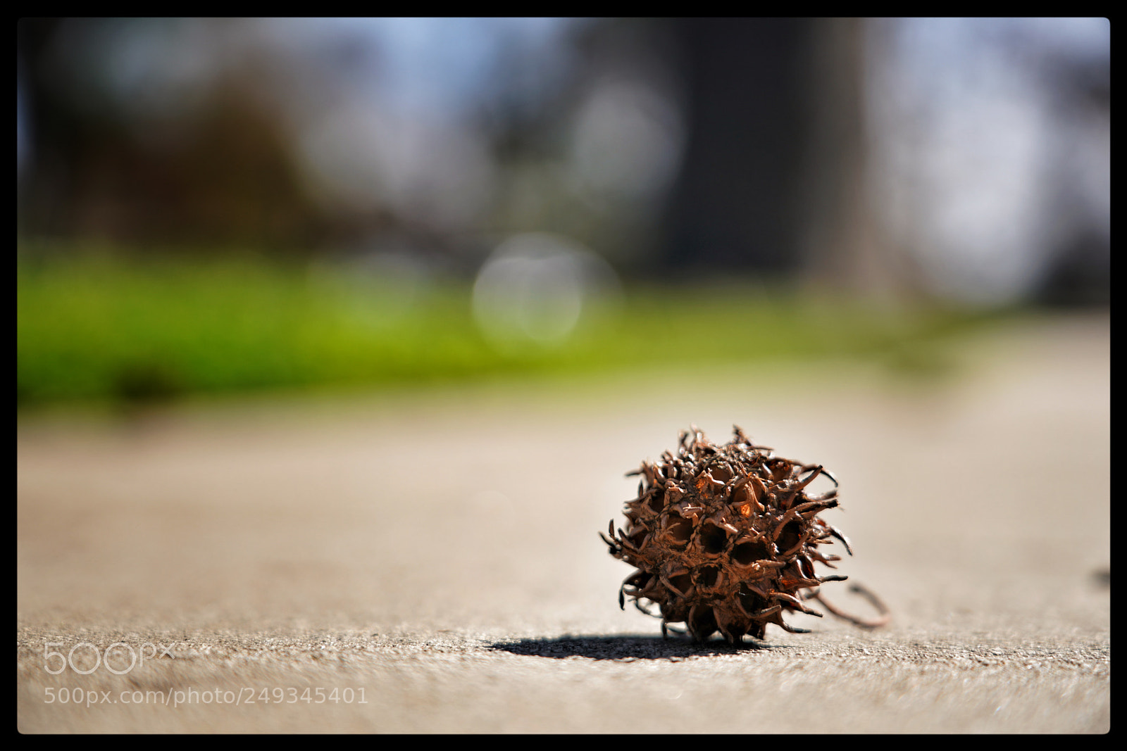 Sony a7R III sample photo. Sidewalk hazard photography