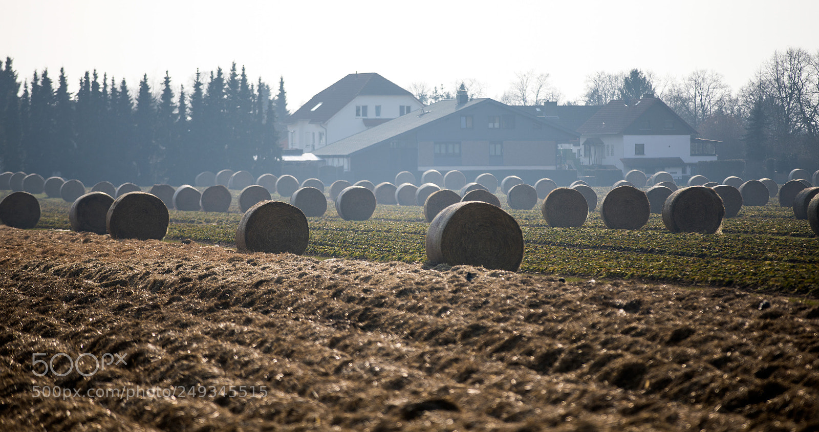 Canon EOS 5D Mark IV sample photo. Ready for harvest photography
