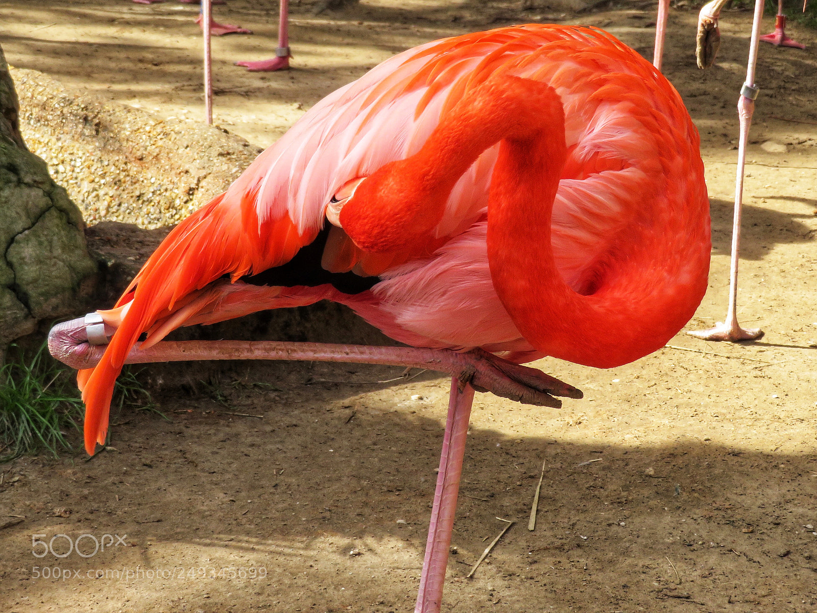Canon PowerShot SX720 HS sample photo. Crisscross legs photography