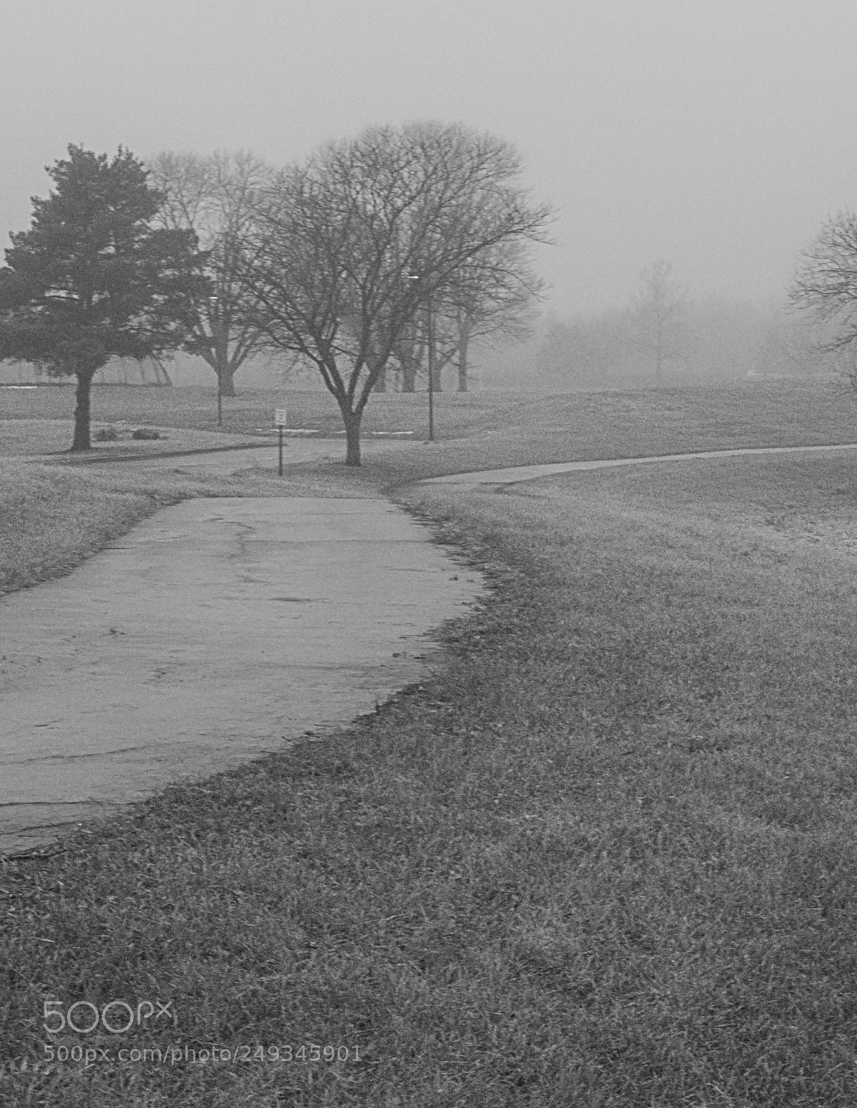 Panasonic Lumix DMC-FZ150 sample photo. Up into the fog photography
