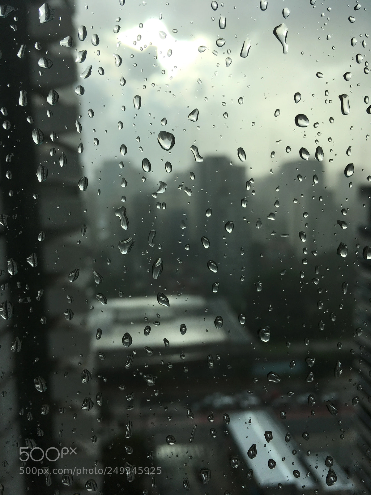 Apple iPhone SE sample photo. Untitled photography