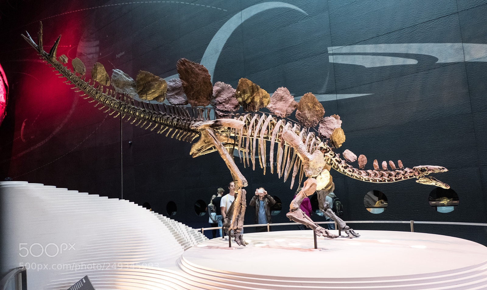 Fujifilm X-T20 sample photo. Dino photography
