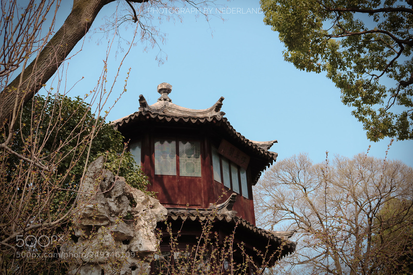 Canon EOS 750D (EOS Rebel T6i / EOS Kiss X8i) sample photo. The humble administrator's garden photography