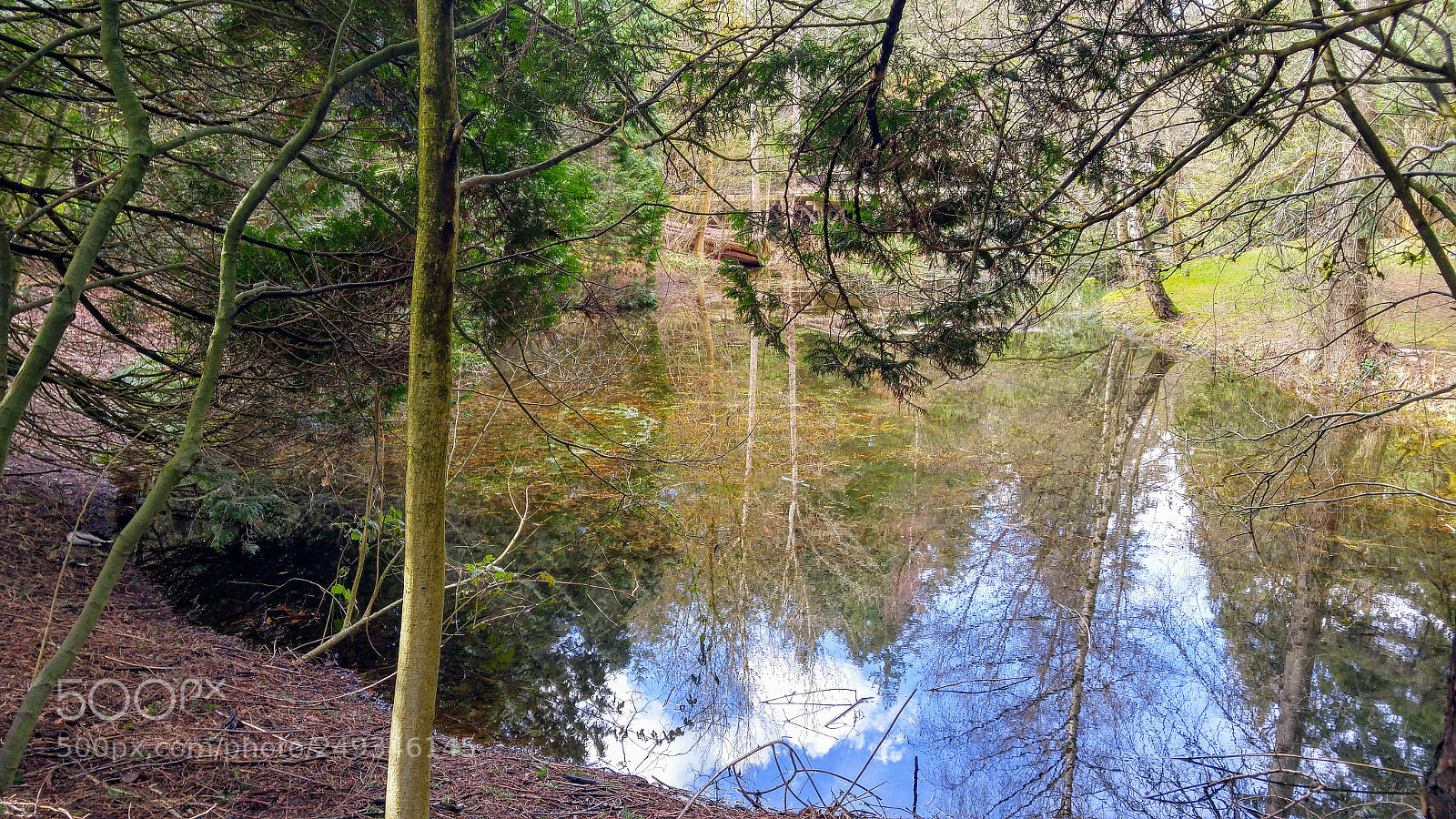 LG G4 sample photo. Hidden reflections photography