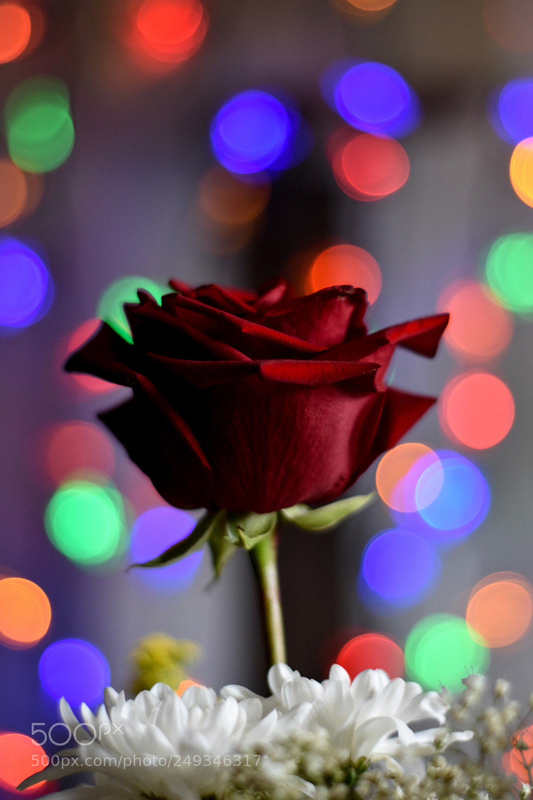 Nikon D3400 sample photo. Untitled photography