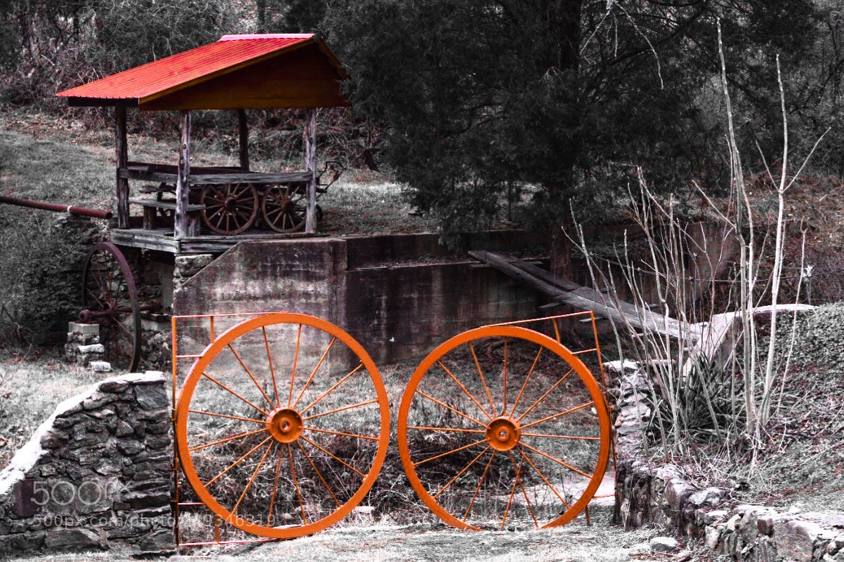 Nikon D5300 sample photo. Guilford mills oak ridge photography