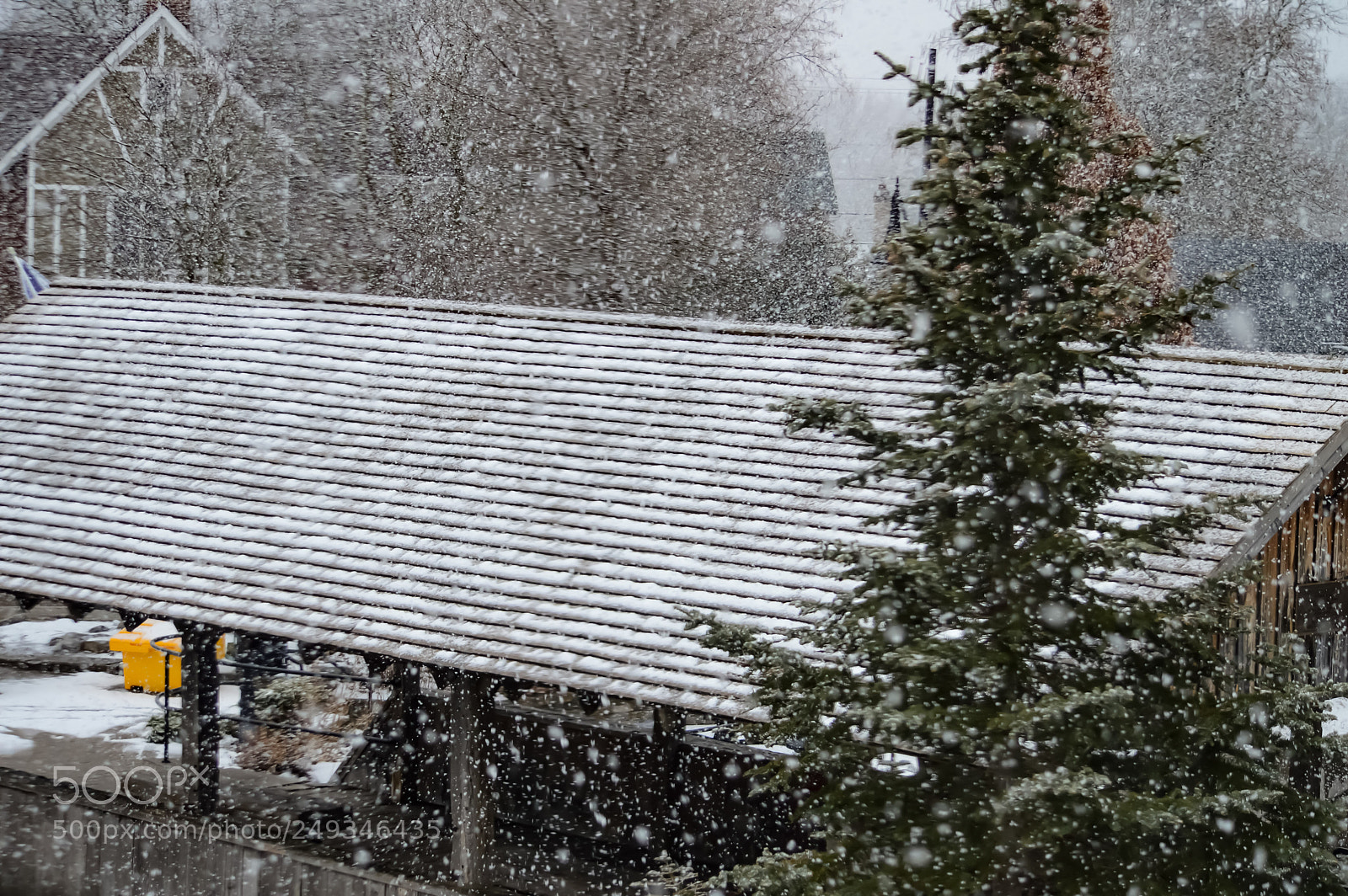 Nikon D3200 sample photo. Snowfall photography