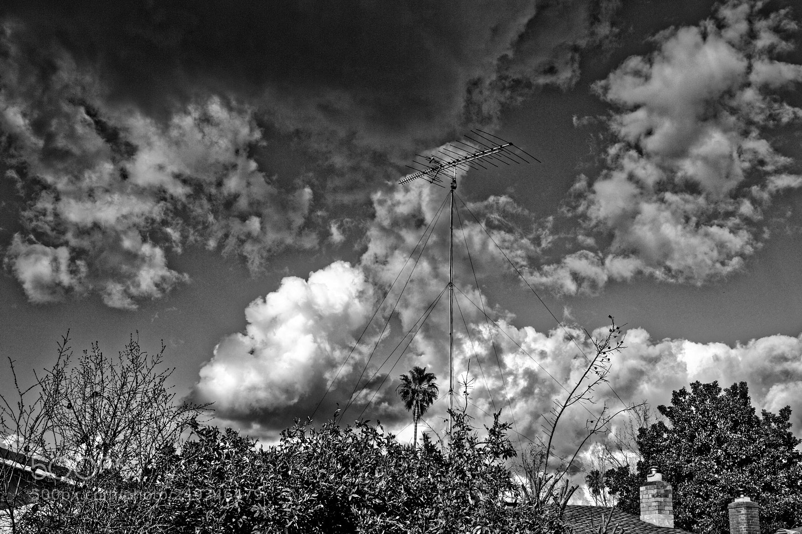Leica M (Typ 240) sample photo. Last antenna photography