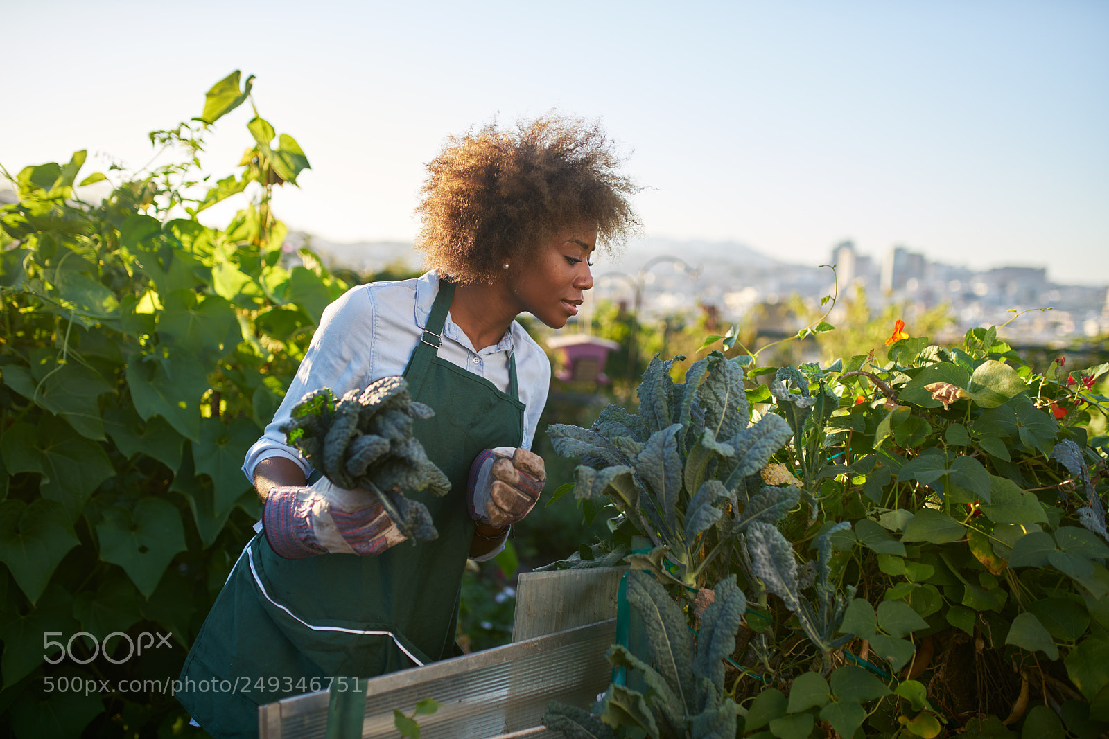 Sony a7R II sample photo. African american woman tending photography