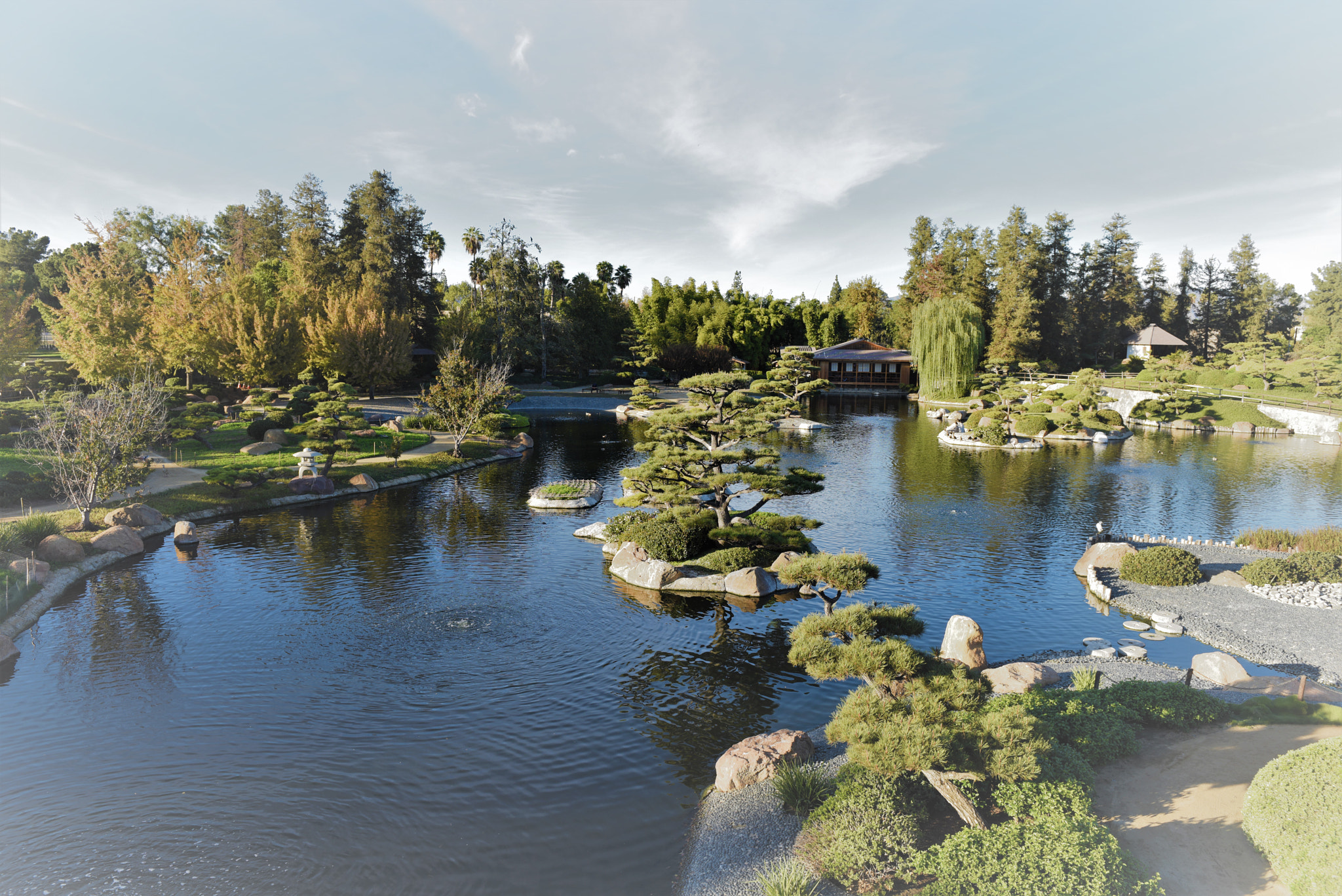 Nikon AF-S Nikkor 24-70mm F2.8G ED sample photo. Japanese garden life in la photography