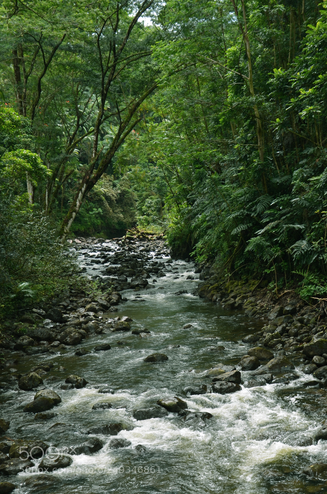 Nikon D7000 sample photo. Gorge photography