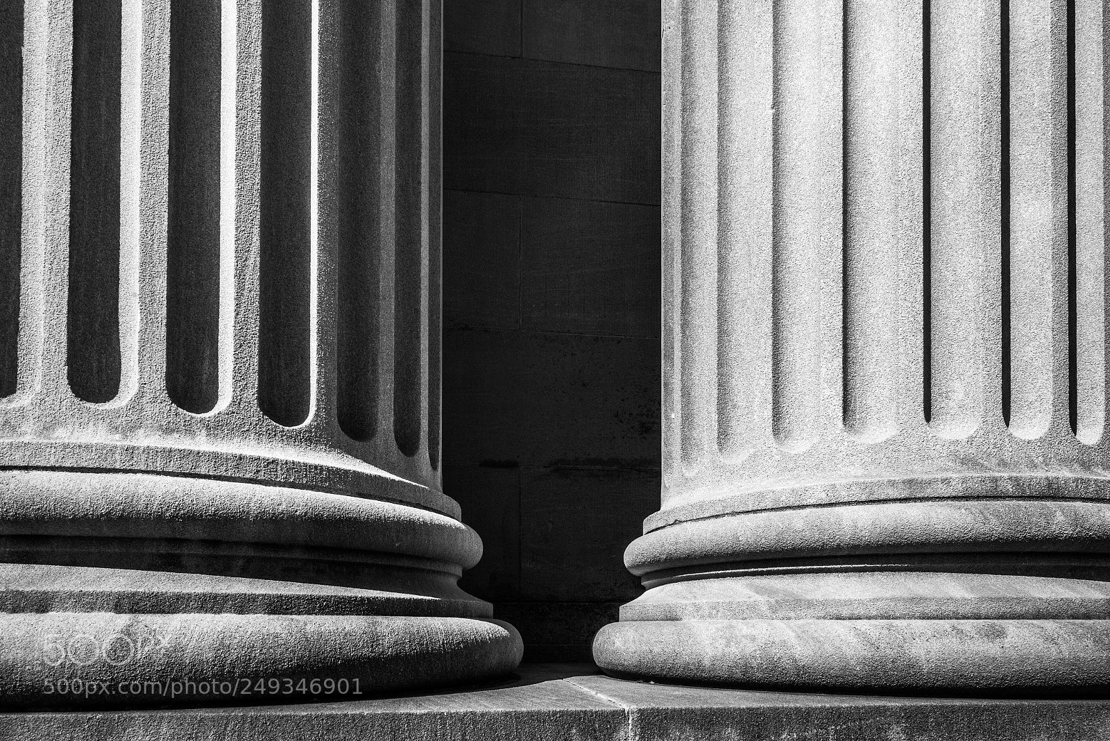 Nikon D800 sample photo. Handley library columns photography