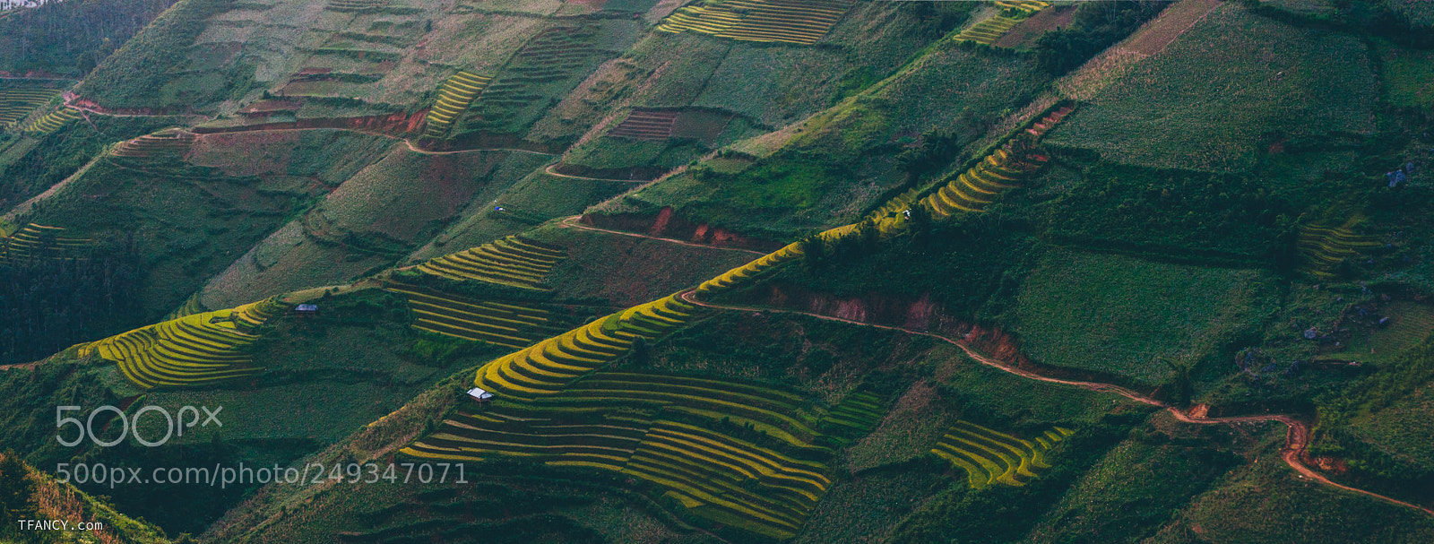 Sony Alpha NEX-7 sample photo. Road across terraced fields photography