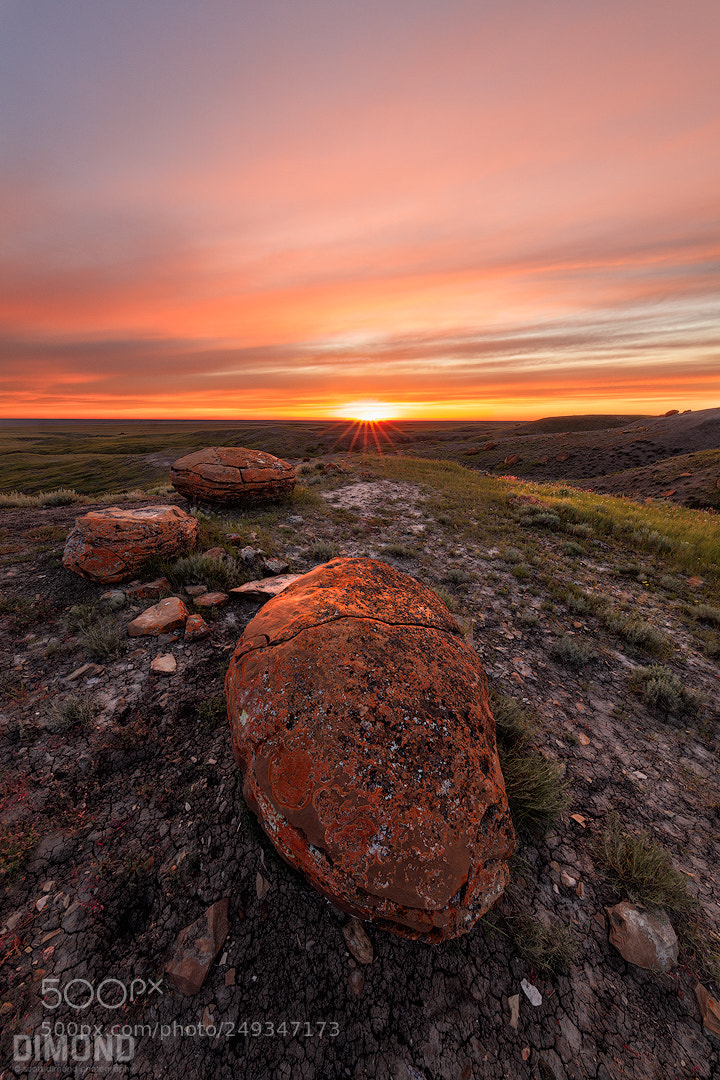 Canon EOS 5DS R sample photo. Red rock coulee photography