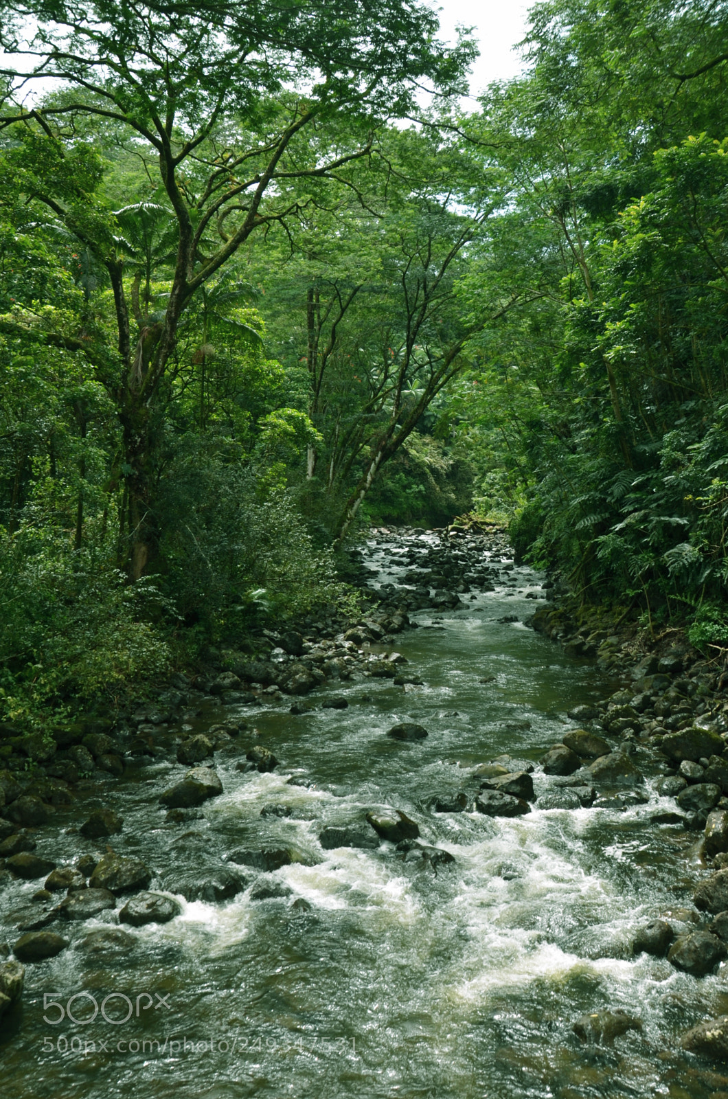 Nikon D7000 sample photo. G2 photography