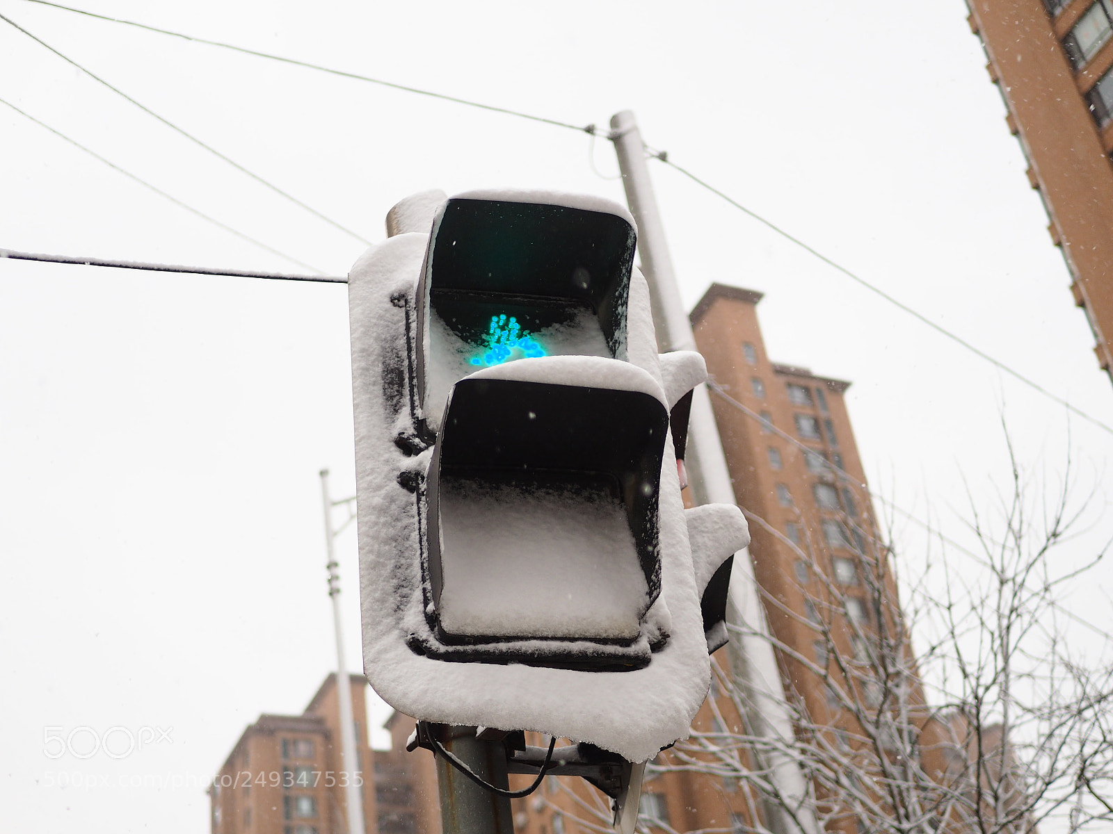 Olympus OM-D E-M10 sample photo. Traffic light photography