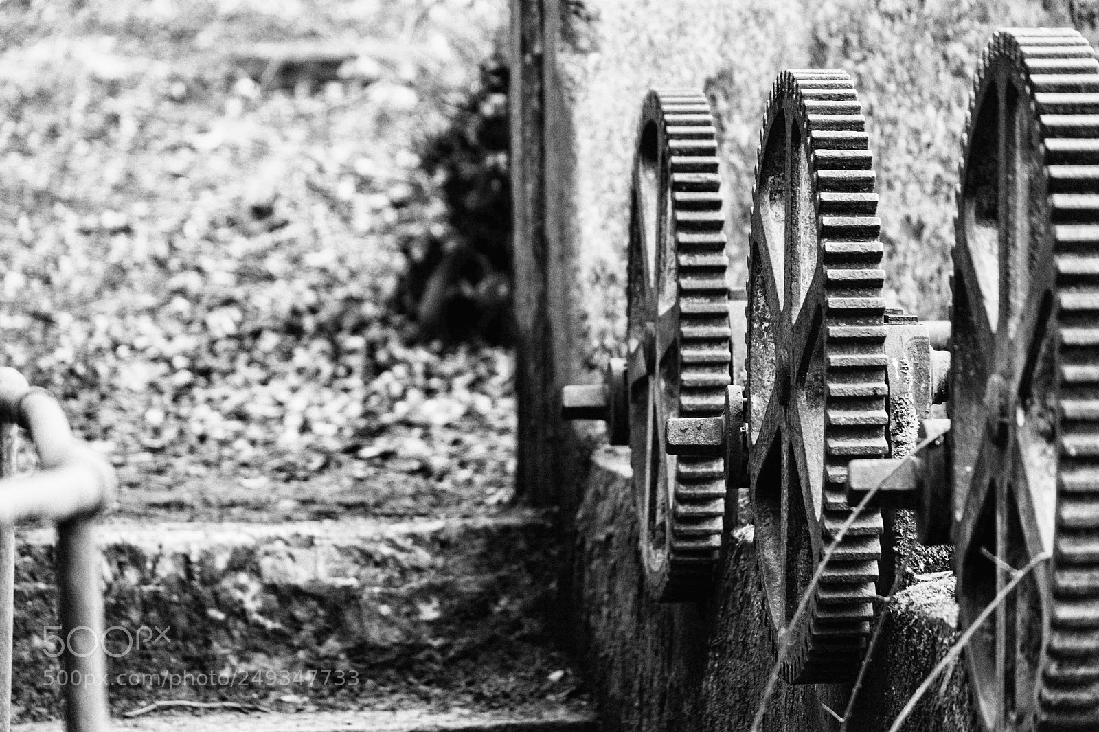 Nikon D3300 sample photo. Reclaimed photography