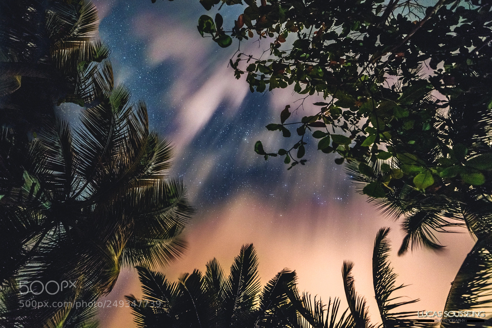 Nikon D800 sample photo. Caribbean aurora borealis photography