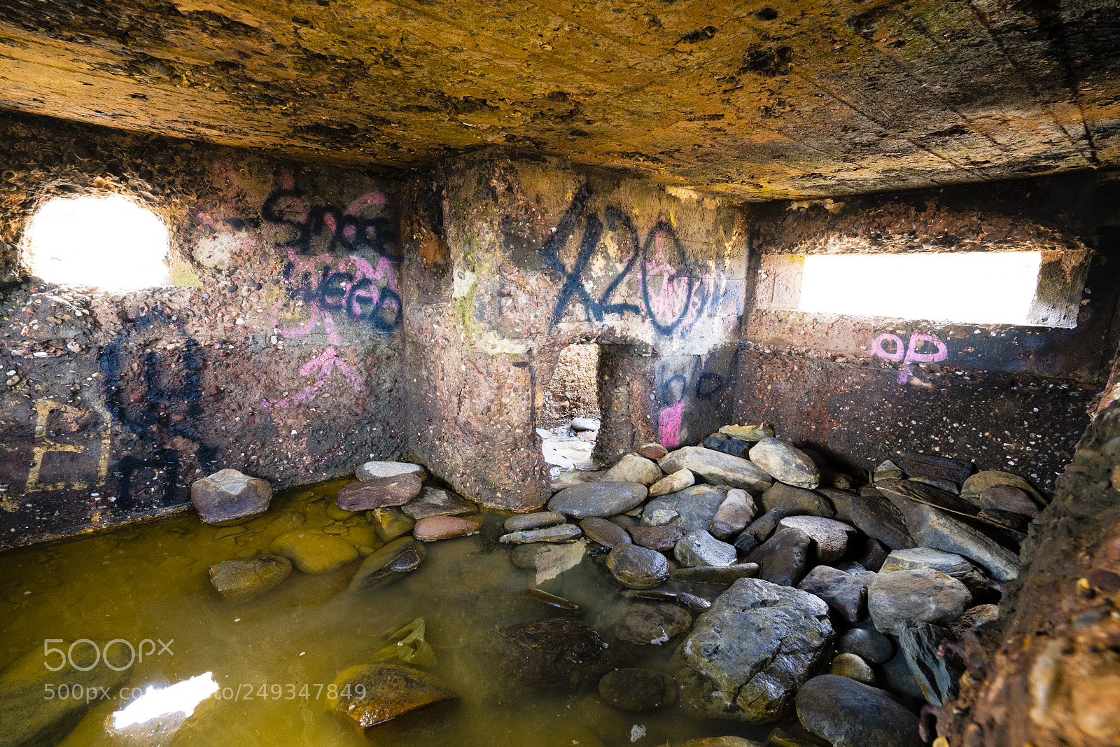 Sony a7R II sample photo. This is not a photography