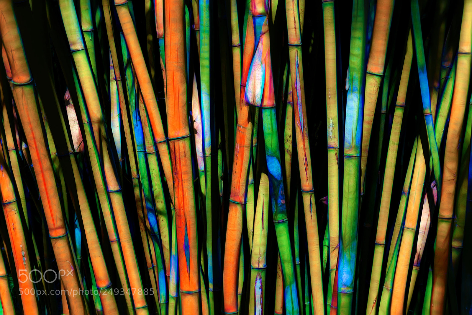 Sony a6300 sample photo. Abstract rendition of bamboo photography