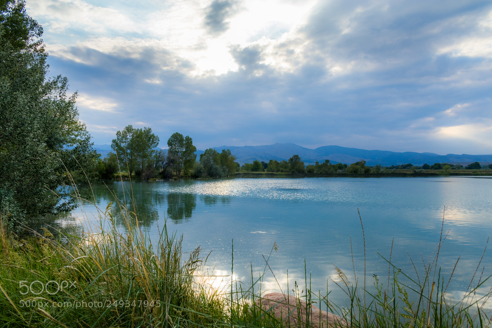 Canon EOS 80D sample photo. Reverie photography