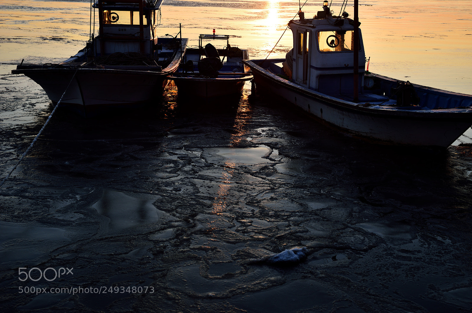 Nikon D810 sample photo. Winter morning. photography